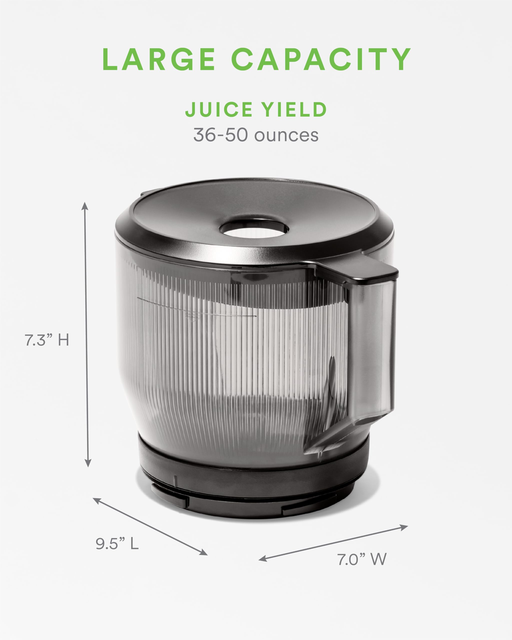 Amazon.com: Nama Large Hopper – Wide Mouth Nama Juicer Attachment